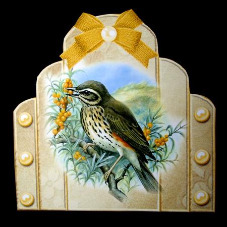 Bird Over the Edge Mini Kit by Dianne Jackson