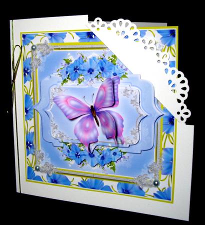 Pink & Lilac Butterfly by Dianne Jackson