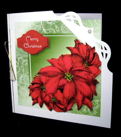 Red Poinsettias Lacey Square by Dianne Jackson