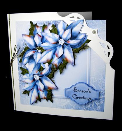 Ice Blue Poinsettia Lacey Square by Dianne Jackson