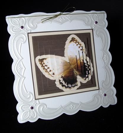 Brown Butterfly Pyramid by Dianne Jackson