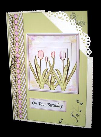 Tulip Border by Dianne Jackson