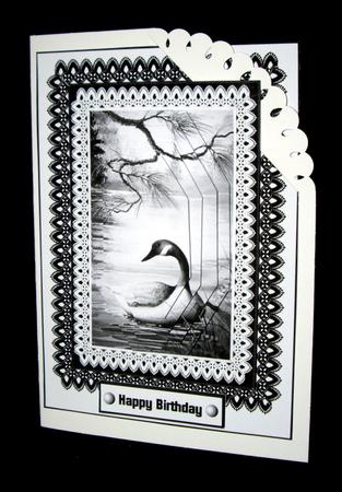 Monochrome Lace - Duck by Dianne Jackson