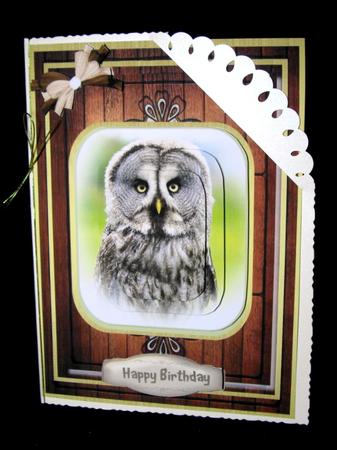 Beautiful Grey Owl ( Pyramarge ) by Dianne Jackson