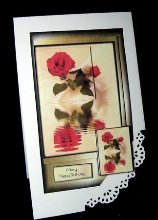 Wonderful Rose by Dianne Jackson