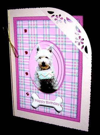Westie by Dianne Jackson