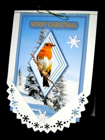 Robin Redbreast by Dianne Jackson