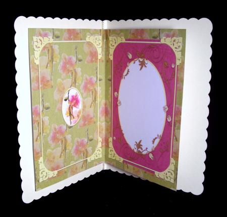 Pink Orchid Insert by Dianne Jackson