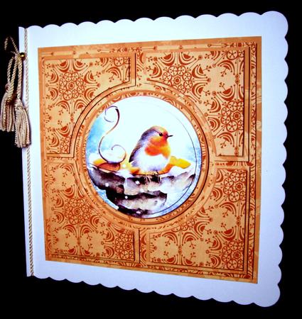 Blue Robin Borange Architects Quad 8in Cf Kit by Dianne Jackson