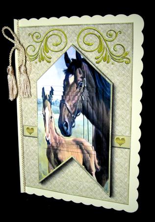 Happy Trails Card Topper 2 by Dianne Jackson