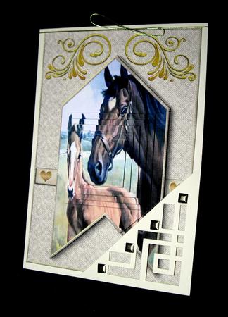 Happy Trails Card Topper 1 by Dianne Jackson