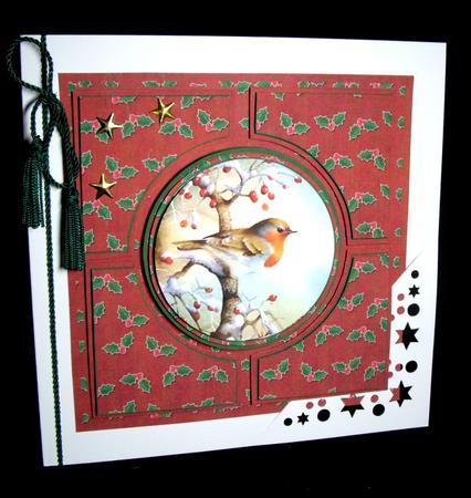 Red Robin Architects Quad 8in Cf Kit by Dianne Jackson