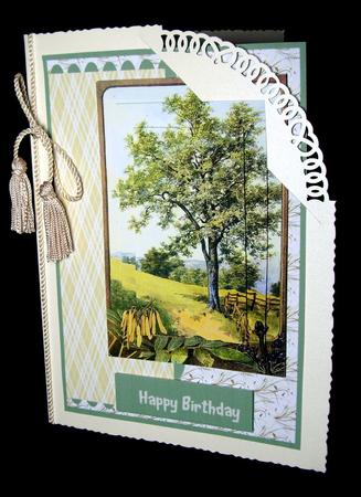 Lovely Country Trees Scene  by Dianne Jackson