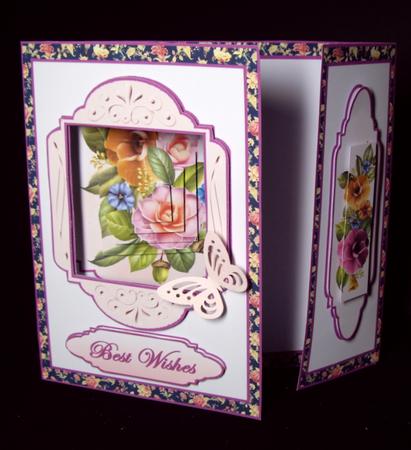 Aperture Kit- Camelias by Dianne Jackson