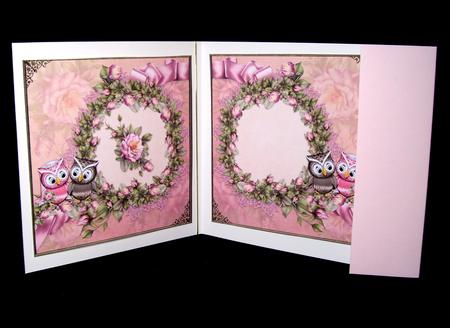 Happily Ever After Insert by Dianne Jackson