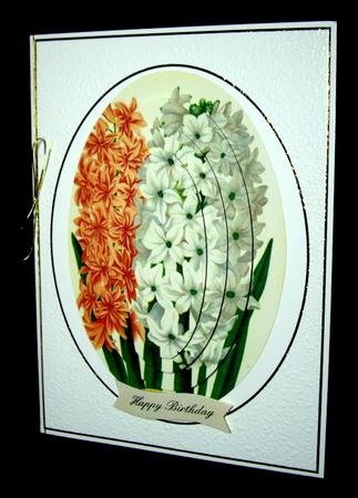 Lovely Winter Hyacinth by Dianne Jackson