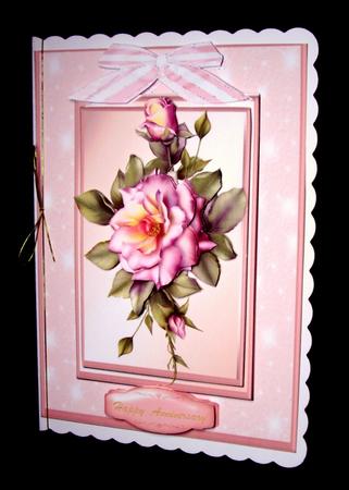 Beautiful Pink Roses Ona Double Frame by Dianne Jackson