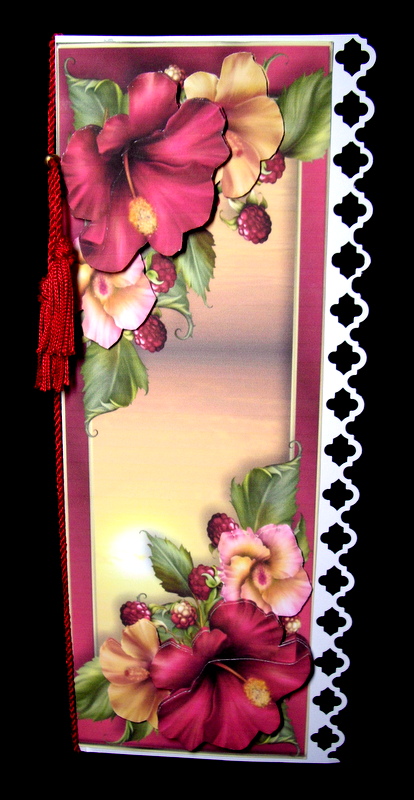 Large Dl Hibiscus Sunset by Dianne Jackson