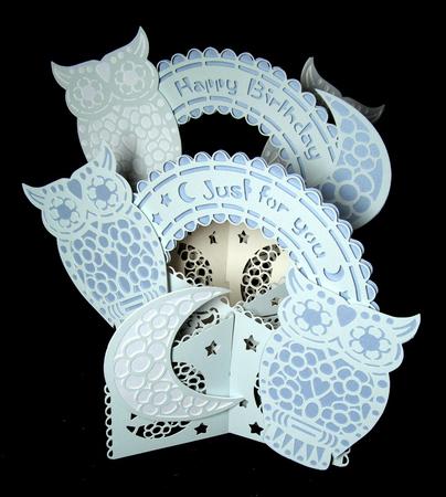 3D Cascade Owl and the Moon by Dianne Jackson