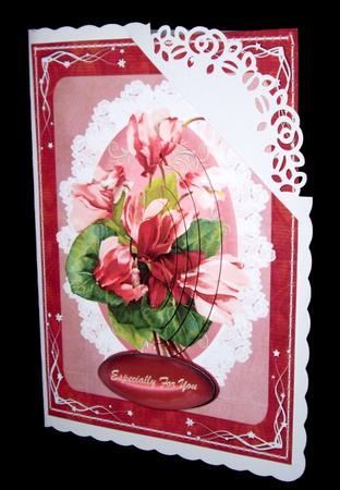 Beautiful Cyclamen Flowers on Lace ( Pyramarge) by Dianne Jackson