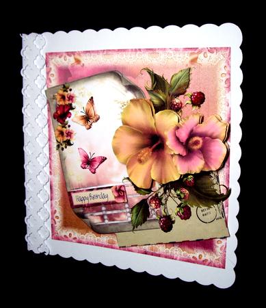 The Letter Hibiscus Flora and Flutters by Dianne Jackson