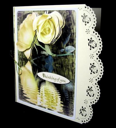 Rose by the Water Cream by Dianne Jackson