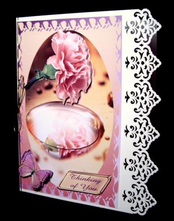 Pink Carnation by Dianne Jackson
