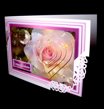 Bubble Rose 22 by Dianne Jackson