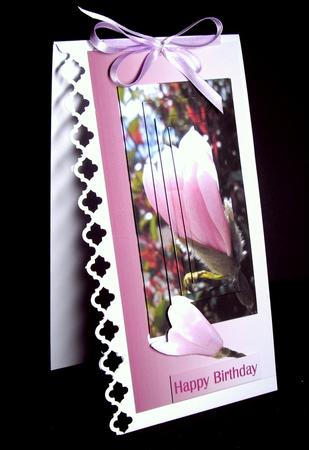 Pink Magnolia by Dianne Jackson