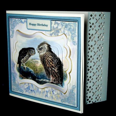 Owls at Dawn Card with Shaped Layers by Dianne Jackson
