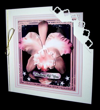 Orchid 1 by Dianne Jackson
