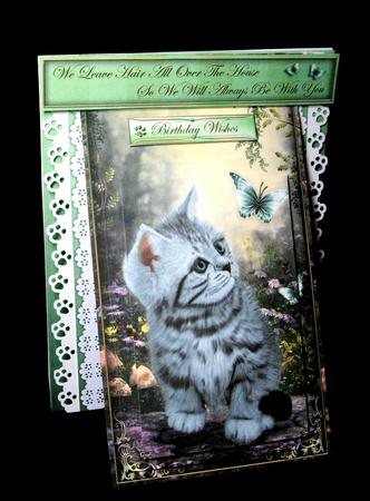 3 in 1 Fluffy Friend by Dianne Jackson