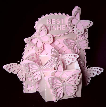 3D Box- Box Of Butterflies by Dianne Jackson