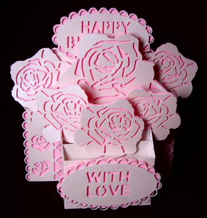 3D Box - Box Of Roses by Dianne Jackson