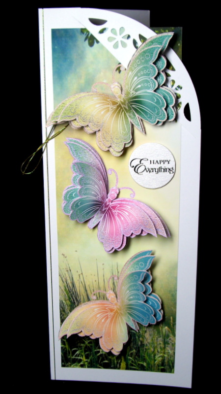 Pretty Butterflies in the Meadow Tall Dl by Dianne Jackson