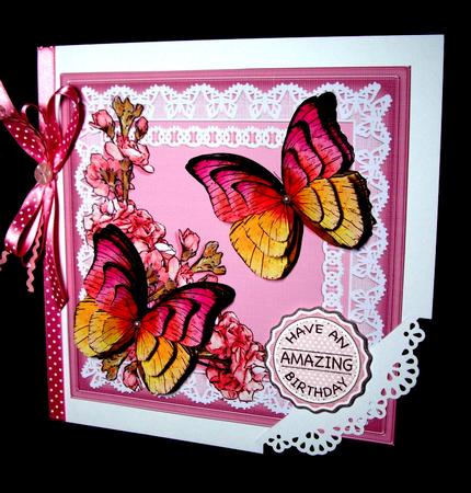 8 x 8 Butterflies Flowers & Lace Kit with 3D Decoupage by Dianne Jackson