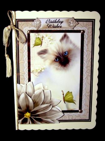 Sweet Kitten Birthday Decoupage Mini Kit by Dianne Jackson