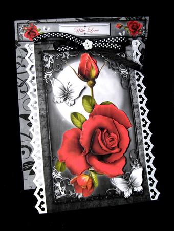 3 in 1 Moonlit Roses by Dianne Jackson