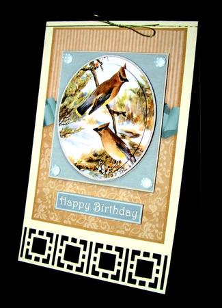 Seasonal Birds 1 by Dianne Jackson