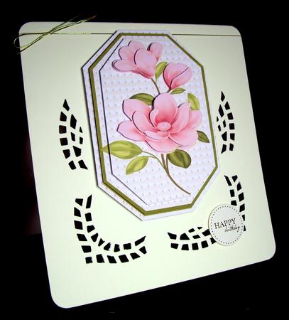 Spring Magnolia Pink Blossoms by Dianne Jackson