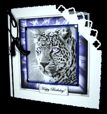 Cats Eyes by Dianne Jackson