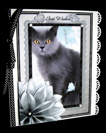 Grey Kitten Birthday Decoupage Mini Kit by Dianne Jackson