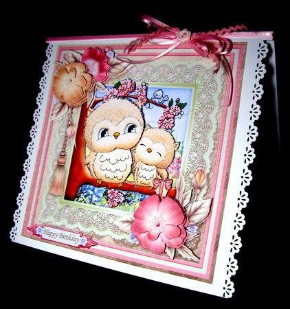 Whooo Loves You by Dianne Jackson