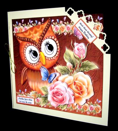 Have a Hoot by Dianne Jackson
