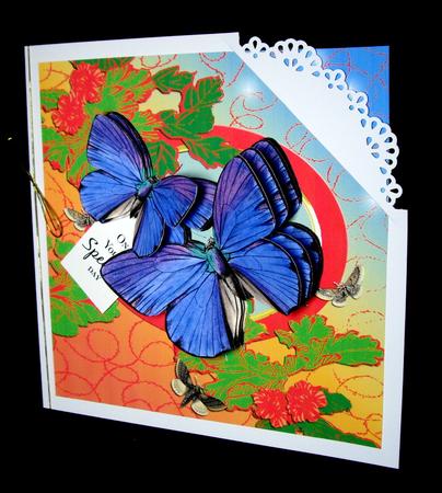 Bright & Beautiful Butterflies by Dianne Jackson