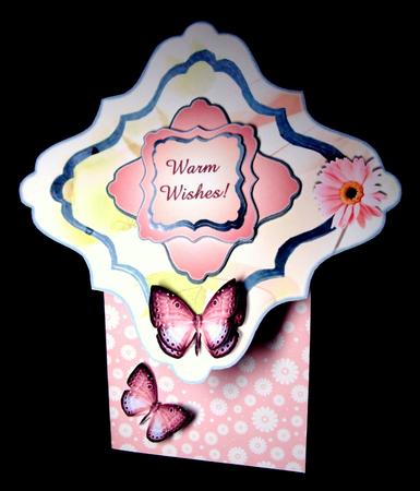 Pink Butterfly Greetings by Dianne Jackson