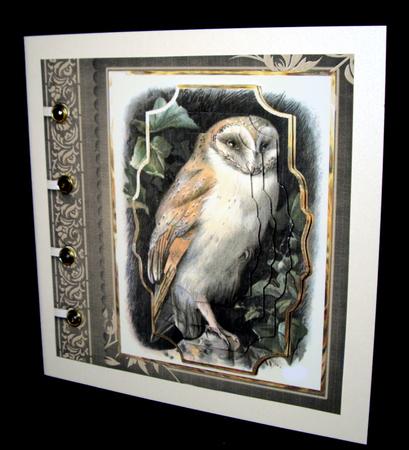 Old Barn Owl Card with Shaped Layers by Dianne Jackson