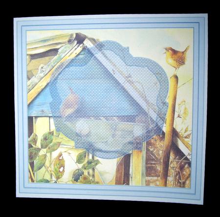 Vintage Birds on the Garden Shed Pocket Insert 8x8 by Dianne Jackson