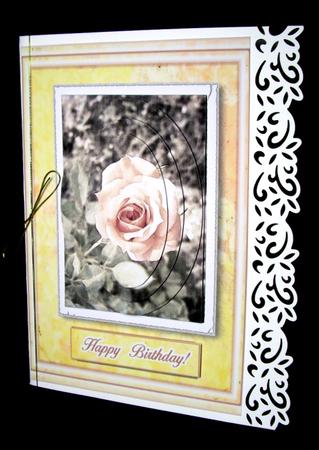 Old Rose by Dianne Jackson