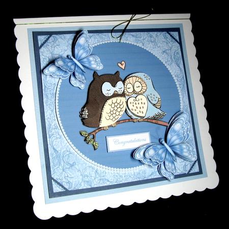 Wise Owls & Butterflies Toppers by Dianne Jackson